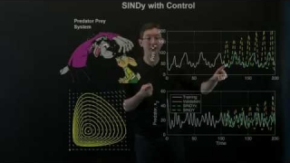 System Identification: Sparse Nonlinear Models with Control