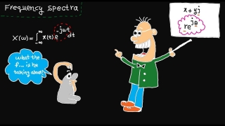 Frequency domain – tutorial 8: frequency spectra