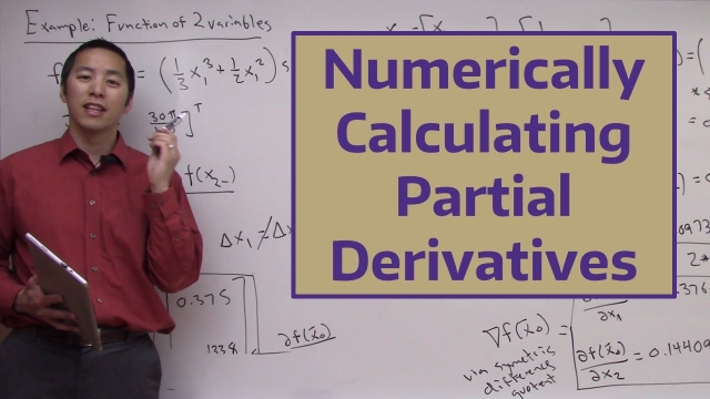 Numerically Calculating Partial Derivatives